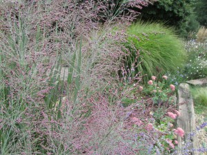 IMG_0857
